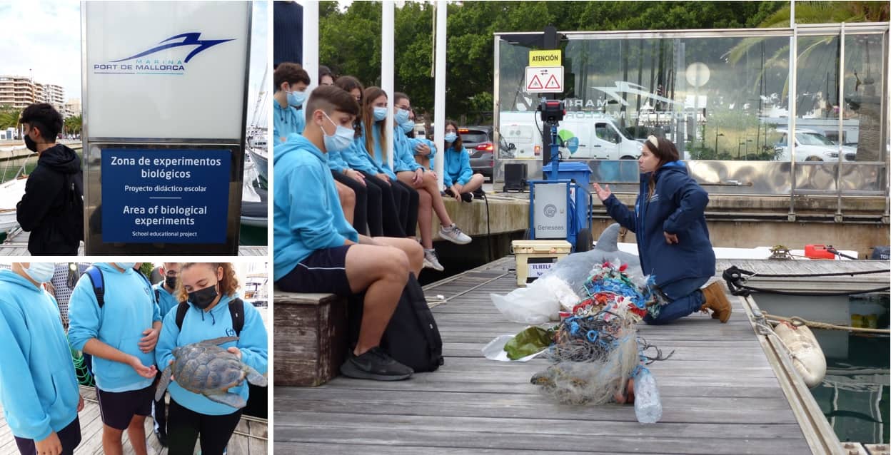 Marina Port Mallorca, Fundación Palma Aquarium, tortugas, medio ambiente, educación ambiental